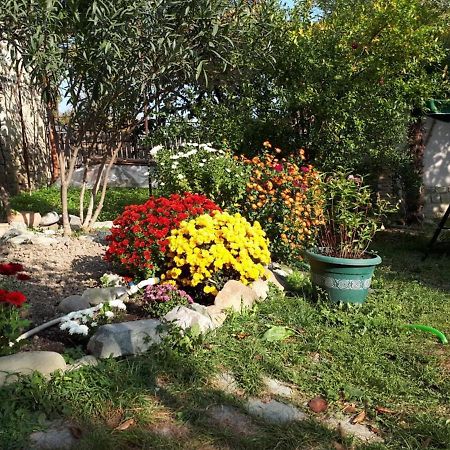 Old House Apartment With Garden Area Mtskheta Exterior foto