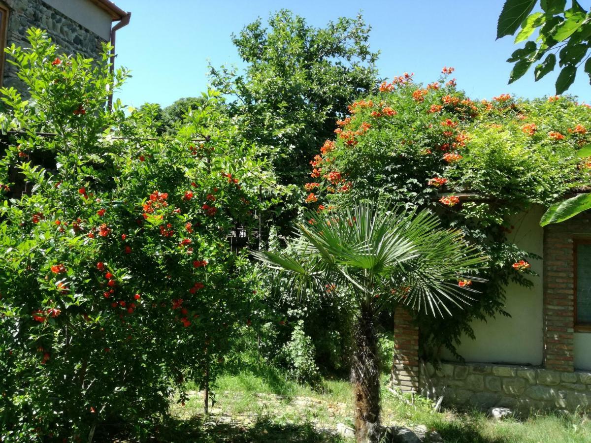 Old House Apartment With Garden Area Mtskheta Exterior foto